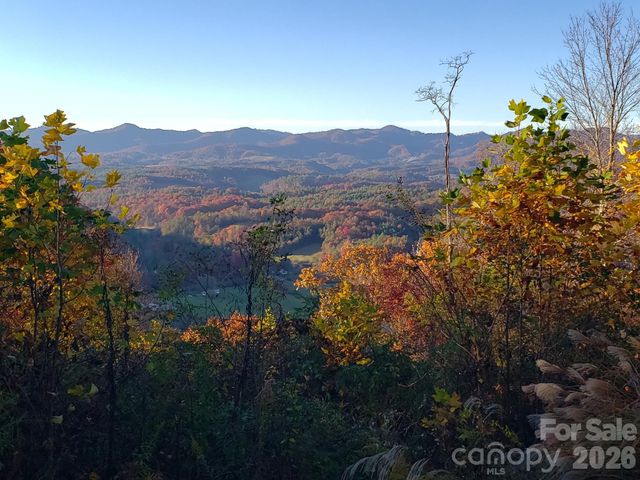 350 Vista Point Drive, Weaverville, NC 28787