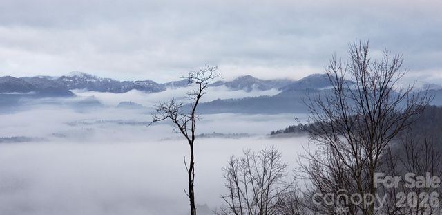 350 Vista Point Drive, Weaverville, NC 28787