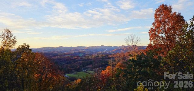350 Vista Point Drive, Weaverville, NC 28787