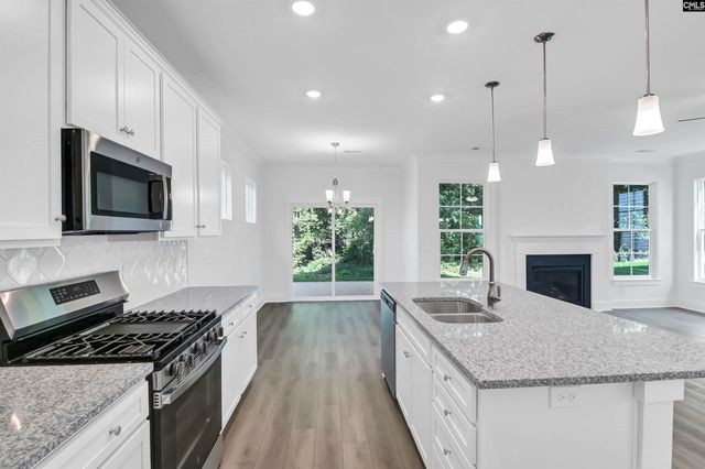 436 Beesborough Lane, Lexington, SC 29072