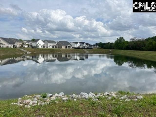 436 Beesborough Lane, Lexington, SC 29072