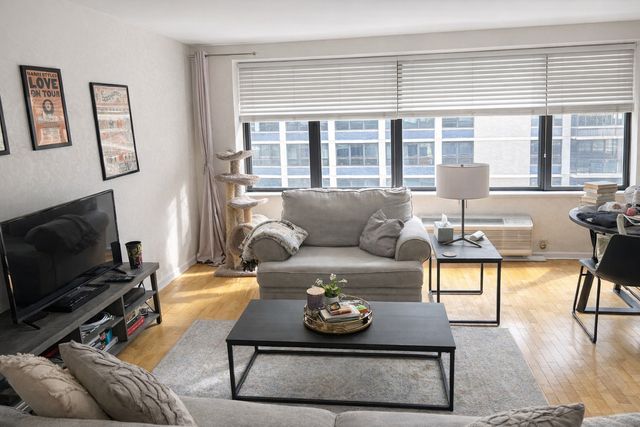 850 N Dewitt Place 15F, Chicago, IL 60611