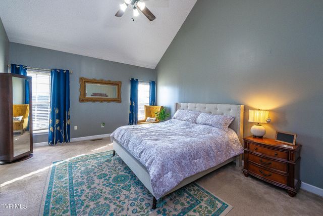 179 Cindy Anne Drive, Gray, TN 37615