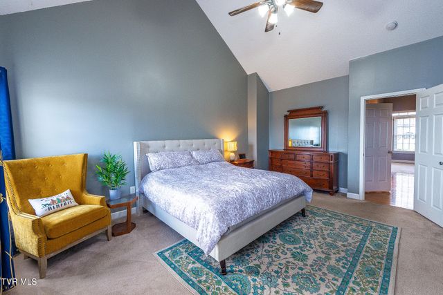 179 Cindy Anne Drive, Gray, TN 37615