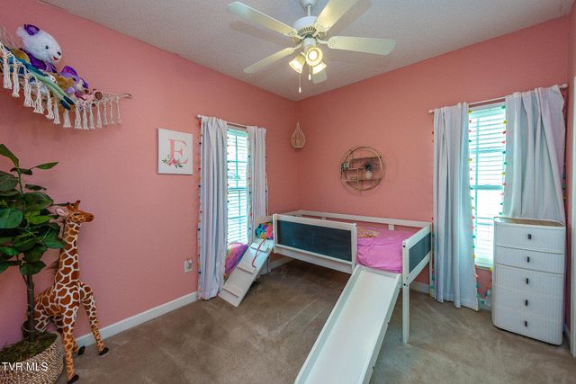 179 Cindy Anne Drive, Gray, TN 37615