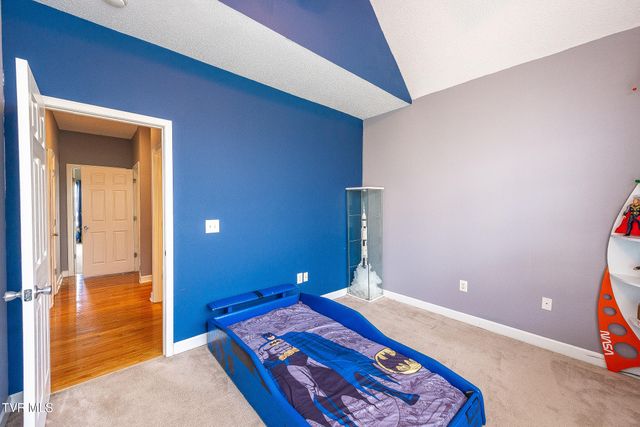 179 Cindy Anne Drive, Gray, TN 37615