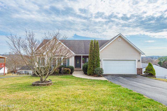 179 Cindy Anne Drive, Gray, TN 37615