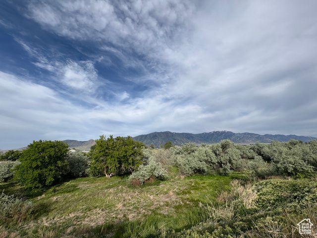 1215 S 100 E, Tremonton, UT 84337