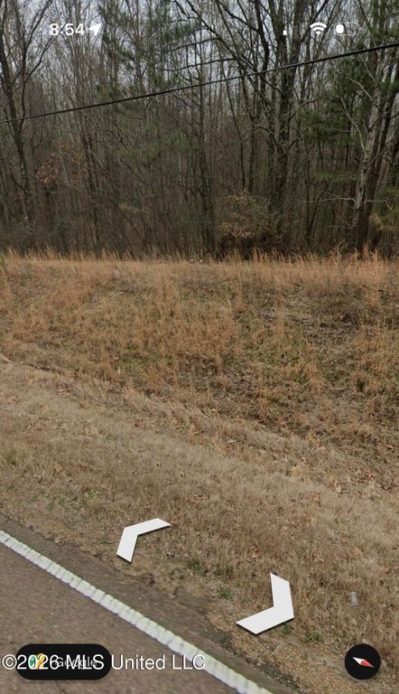 3197 # 3 N Fogg Road, Lake Cormorant, MS 38641 — photo 4