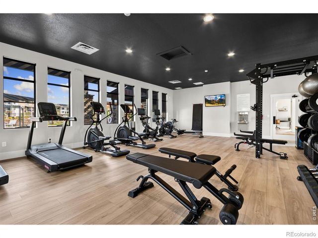 1014 Birdwhistle Lane 2, Fort Collins, CO 80524