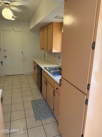 9349 E PARKSIDE Drive, Sun Lakes, AZ 85248