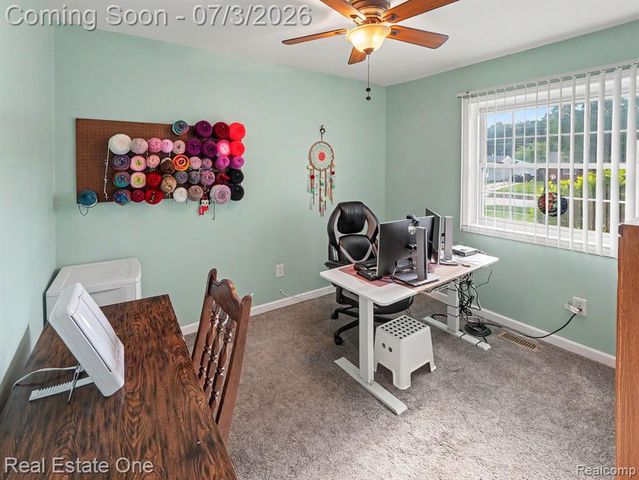 10637 Jackson St, Belleville, MI 48111