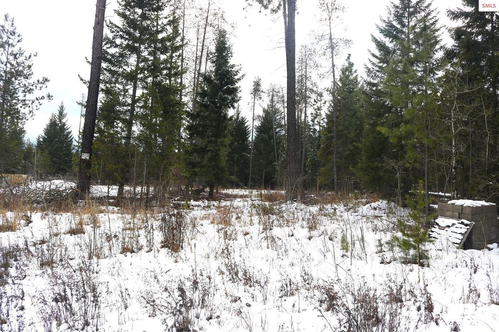 31149 N Old Hwy 95, Athol, ID 83801 photo 17