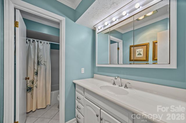 6777 Pinnacle Mountain Road, Zirconia, NC 28790
