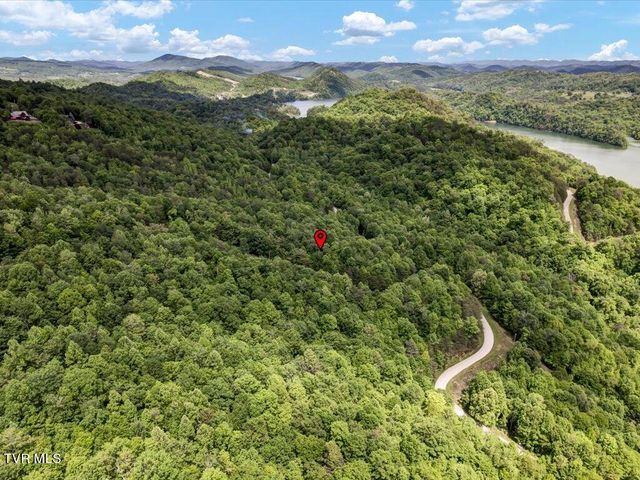Lot 141 Whistle Valley Road, New Tazewell, TN 37825
