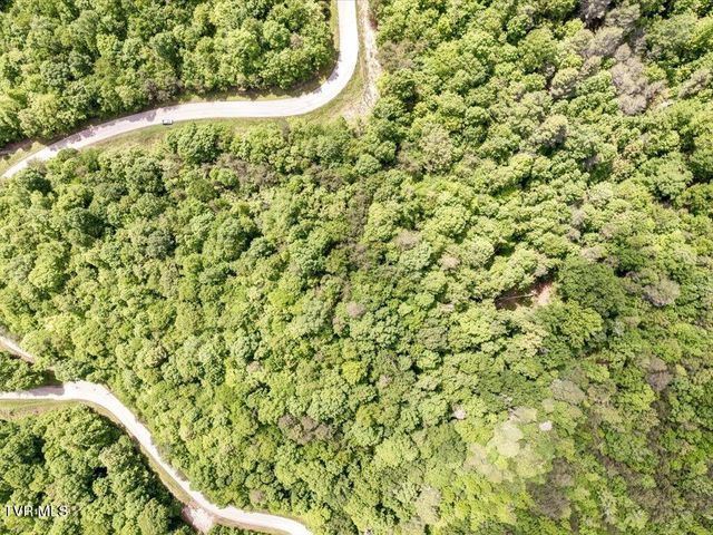 Lot 141 Whistle Valley Road, New Tazewell, TN 37825