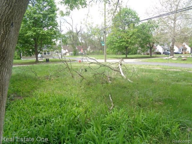 15772 Chatham Street, Detroit, MI 48223