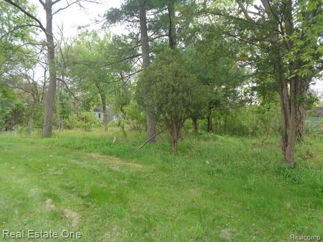 15772 Chatham Street, Detroit, MI 48223