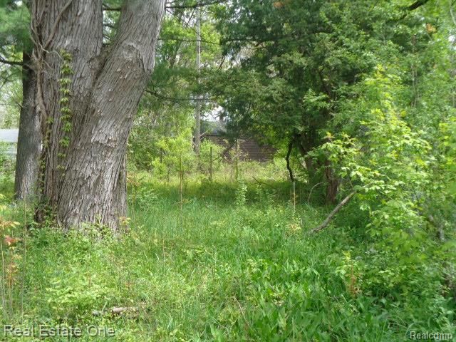 15772 Chatham Street, Detroit, MI 48223