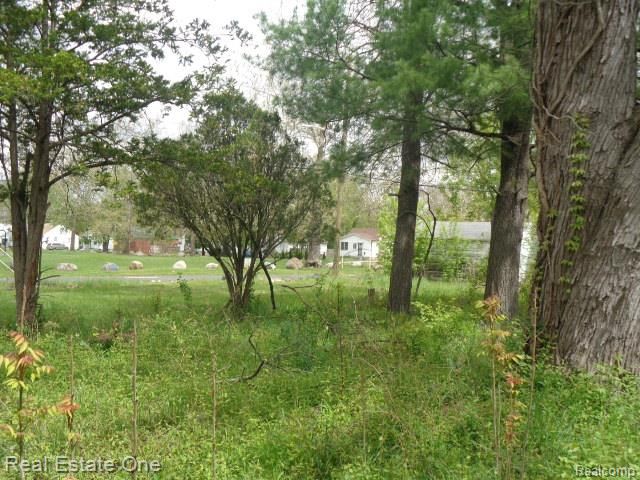15772 Chatham Street, Detroit, MI 48223