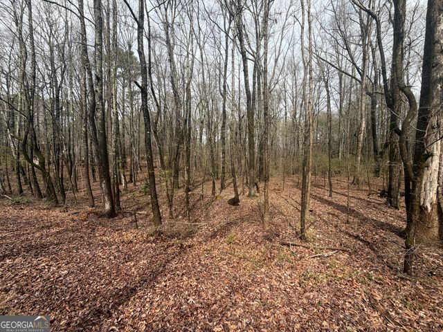 105 Scott Boulevard, Tyrone, GA 30290