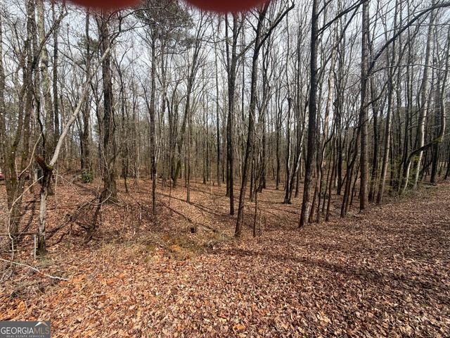 105 Scott Boulevard, Tyrone, GA 30290