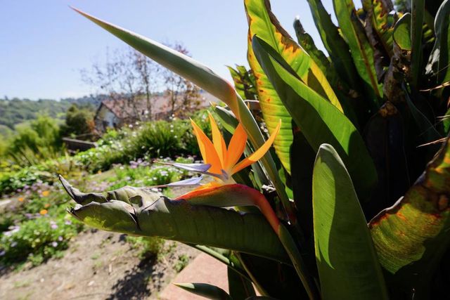 260 Rancho Soquel Road, Soquel, CA 95073