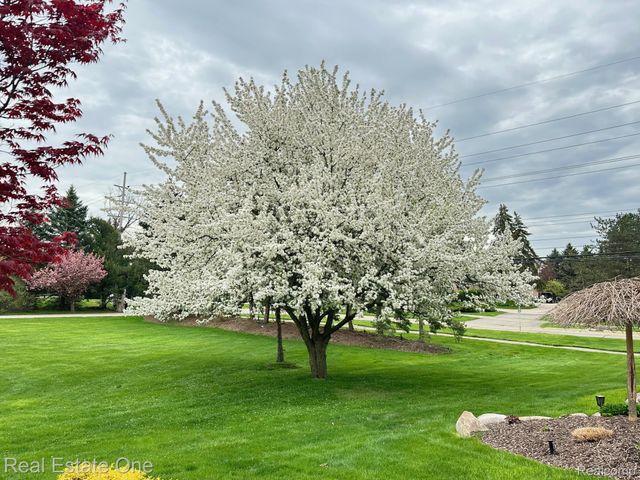 3648 W Tienken Road, Rochester Hills, MI 48306
