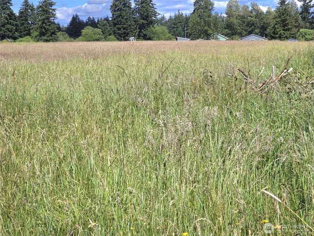 11916 Fillman Road SE, Rainier, WA 98576