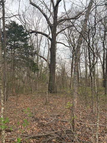Lots 166 and 167 Huckleberry Circle 7-RURBAN, Rogers, AR 72756