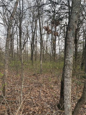 Lots 166 and 167 Huckleberry Circle 7-RURBAN, Rogers, AR 72756