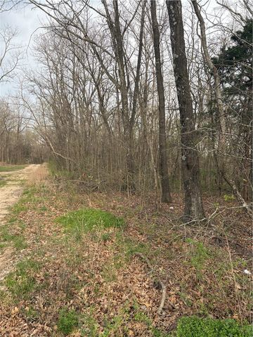 Lots 166 and 167 Huckleberry Circle 7-RURBAN, Rogers, AR 72756