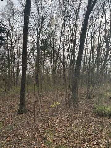 Lots 166 and 167 Huckleberry Circle 7-RURBAN, Rogers, AR 72756