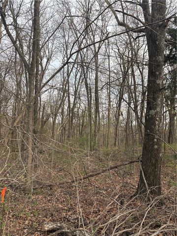 Lots 166 and 167 Huckleberry Circle 7-RURBAN, Rogers, AR 72756