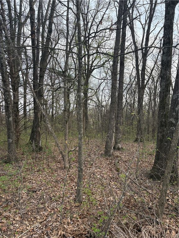 Lots 166 and 167 Huckleberry Circle 7-RURBAN, Rogers, AR 72756