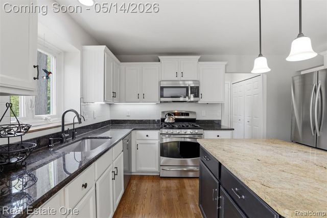 11163 Sand Crane Way, South Lyon, MI 48178
