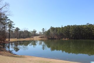 51 BELLS LANE, Vincent, AL 35178