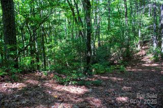 TBD Frozen Creek None 34, Brevard, NC 28712