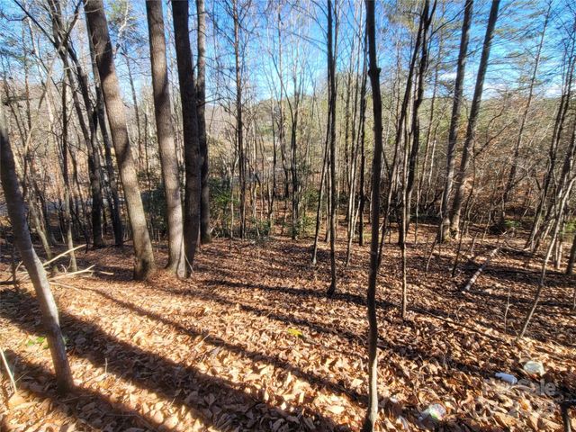 0 Mcowenben Pass 18, Lake Lure, NC 28746