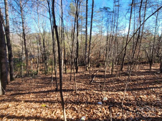 0 Mcowenben Pass 18, Lake Lure, NC 28746