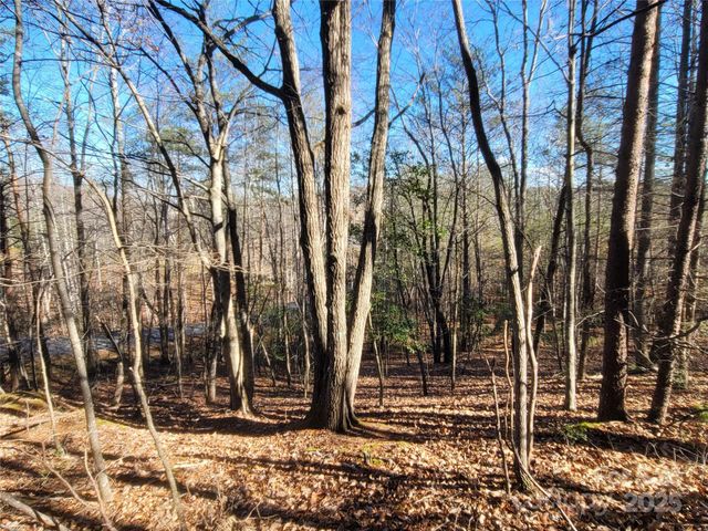 0 Mcowenben Pass 18, Lake Lure, NC 28746