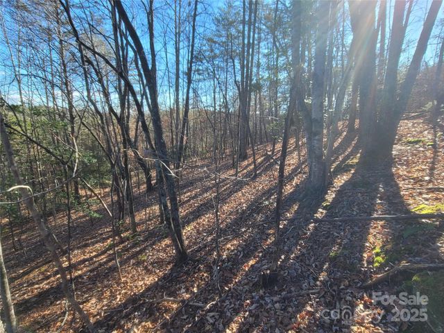 0 Mcowenben Pass 18, Lake Lure, NC 28746