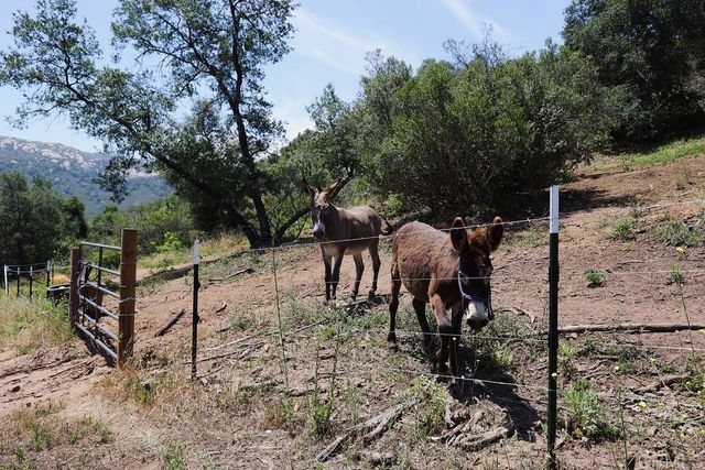 0 Camino Estribo, Temecula, CA 92590