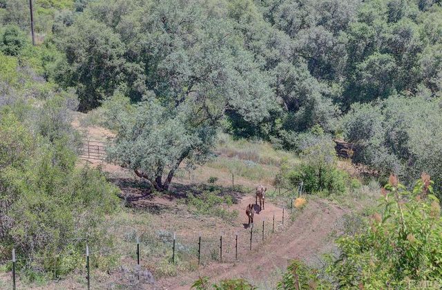 0 Camino Estribo, Temecula, CA 92590