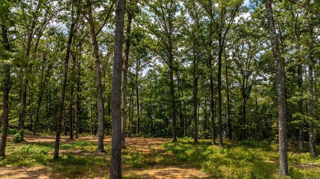 35 Elrod Drive, Greers Ferry, AR 72067