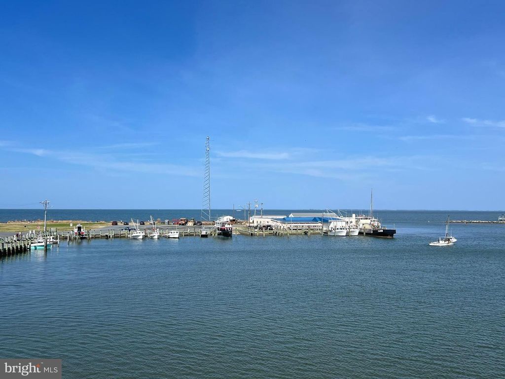 Image 51 of property listing at 10116 DEAL ISLAND RD, Deal Island, MD 21821