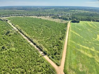 189 Acres Highland Street, Malvern, AL 36375