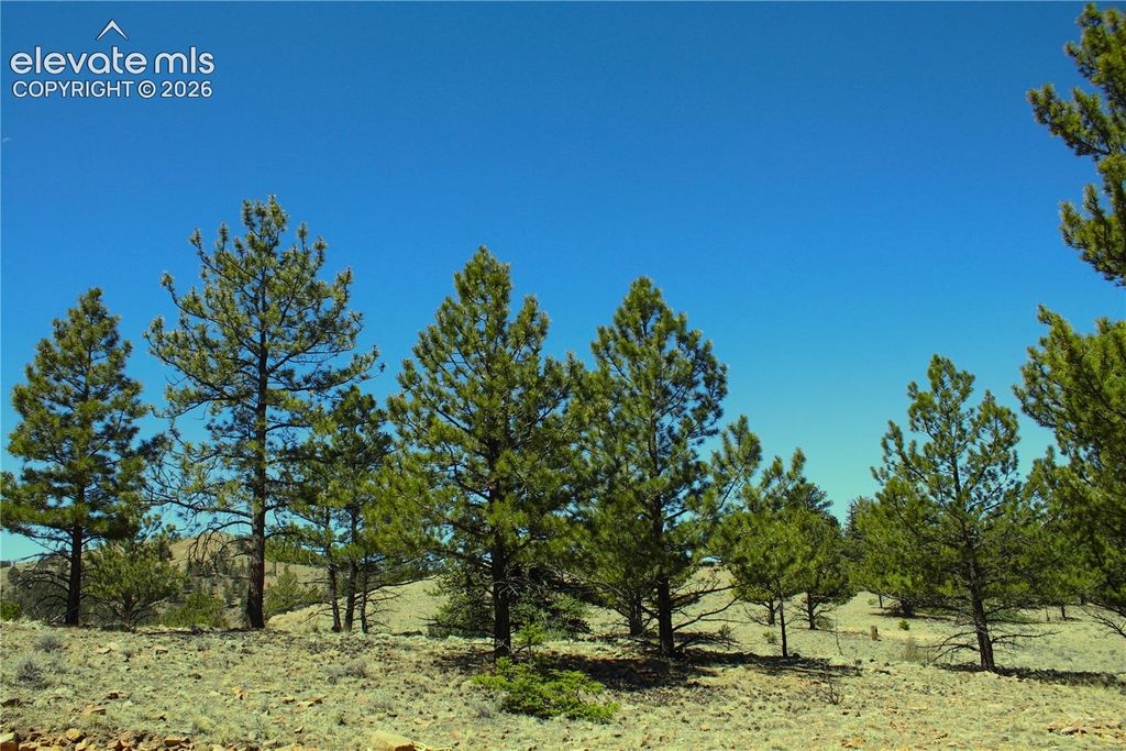 12451 Us-24 Highway, Hartsel, CO 80449 — exterior