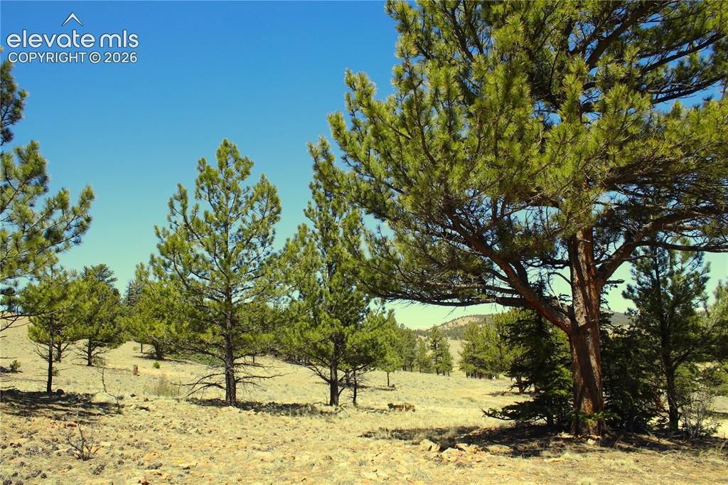 12451 Us-24 Highway, Hartsel, CO 80449 — photo 3