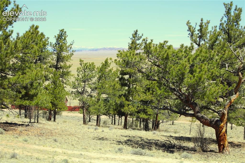 12451 Us-24 Highway, Hartsel, CO 80449 — photo 5